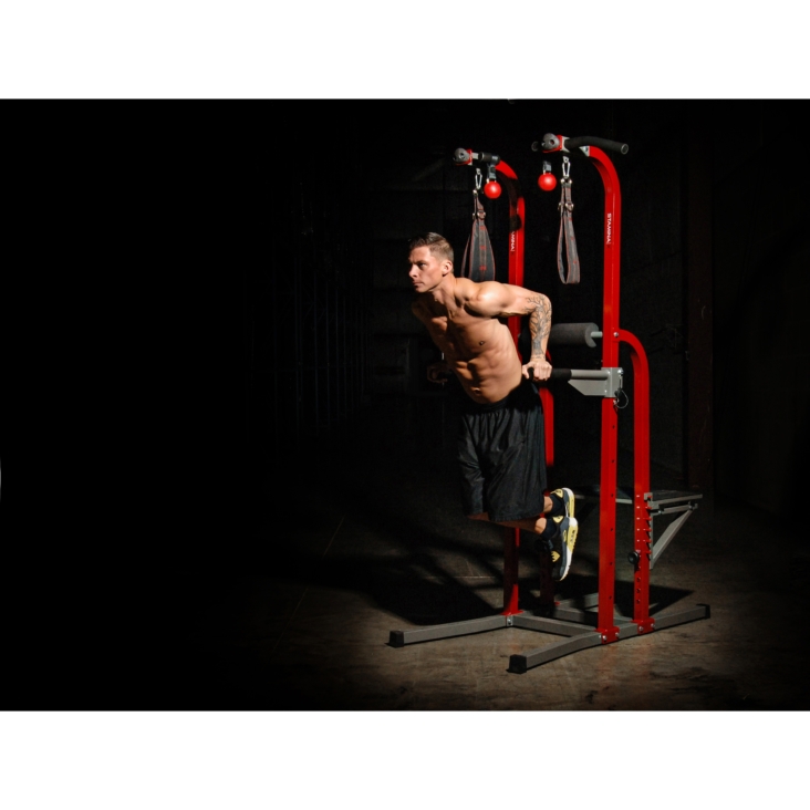 Stamina X Fortress Power Tower at home gym equipment use exercise