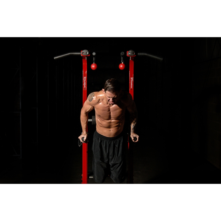 Stamina X Fortress Power Tower at home gym equipment use exercise