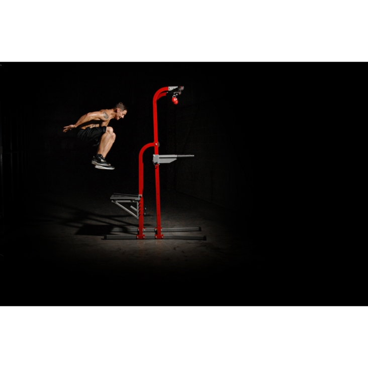 Stamina X Fortress Power Tower at home gym equipment use exercise