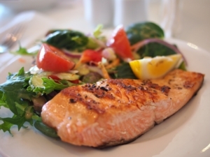 salmon protein