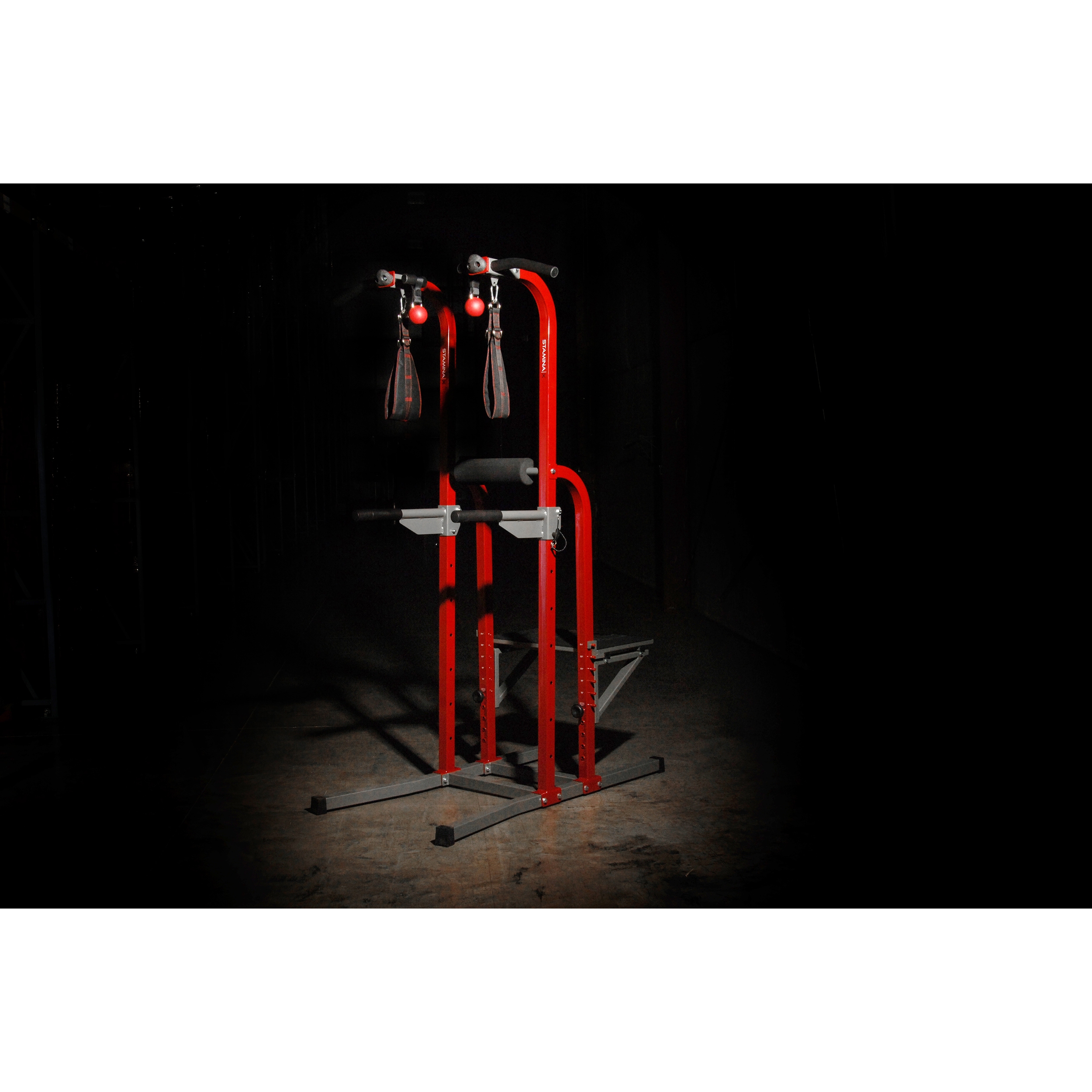 WEB2HGH50-1755.2 Stamina X Fortress Power Tower at home gym equipment use exercise